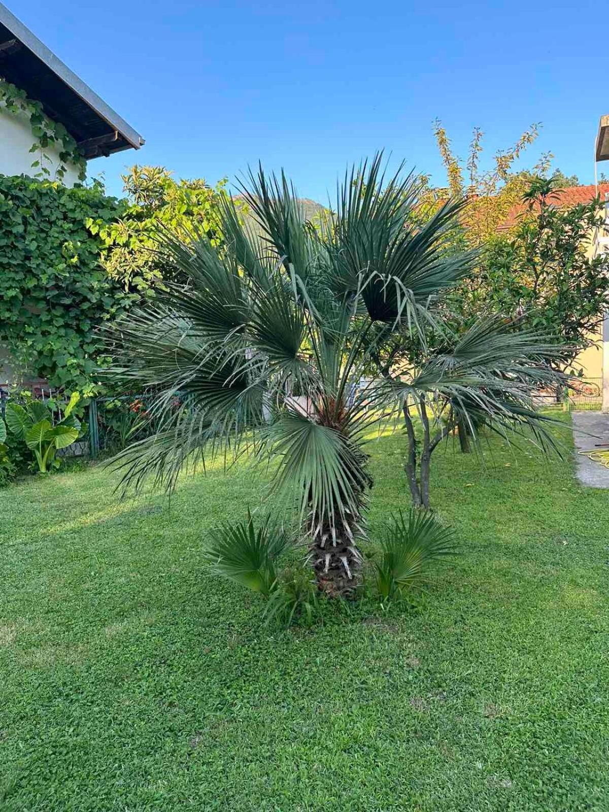 Apartmani Zelenika Herceg Novi Exterior photo